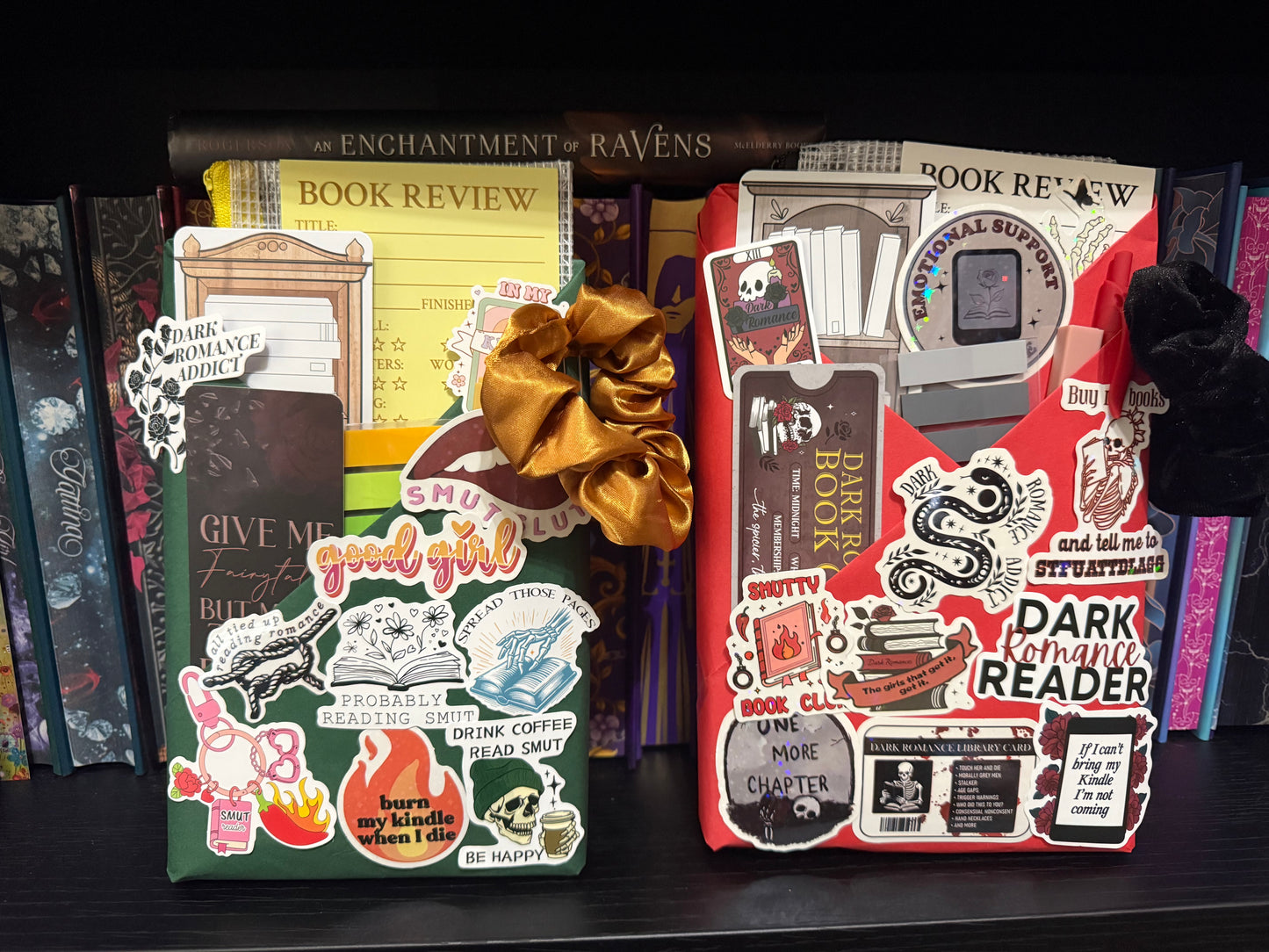 Double SPECIAL EDITION HARDBACK Blind Date With A Book Bundle